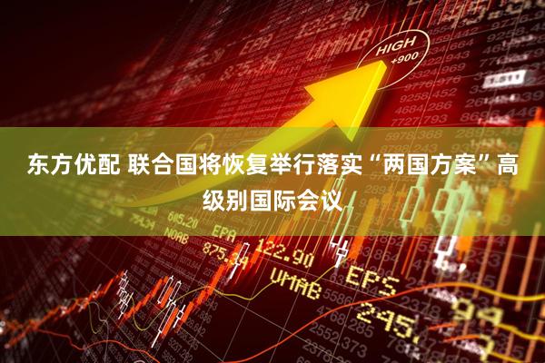 东方优配 联合国将恢复举行落实“两国方案”高级别国际会议