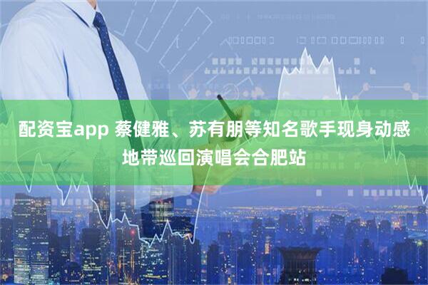 配资宝app 蔡健雅、苏有朋等知名歌手现身动感地带巡回演唱会合肥站