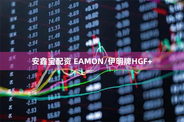 安鑫宝配资 EAMON/伊明牌HGF+