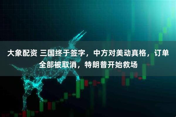 大象配资 三国终于签字，中方对美动真格，订单全部被取消，特朗普开始救场