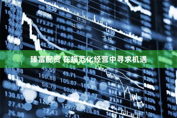臻富配资 在规范化经营中寻求机遇